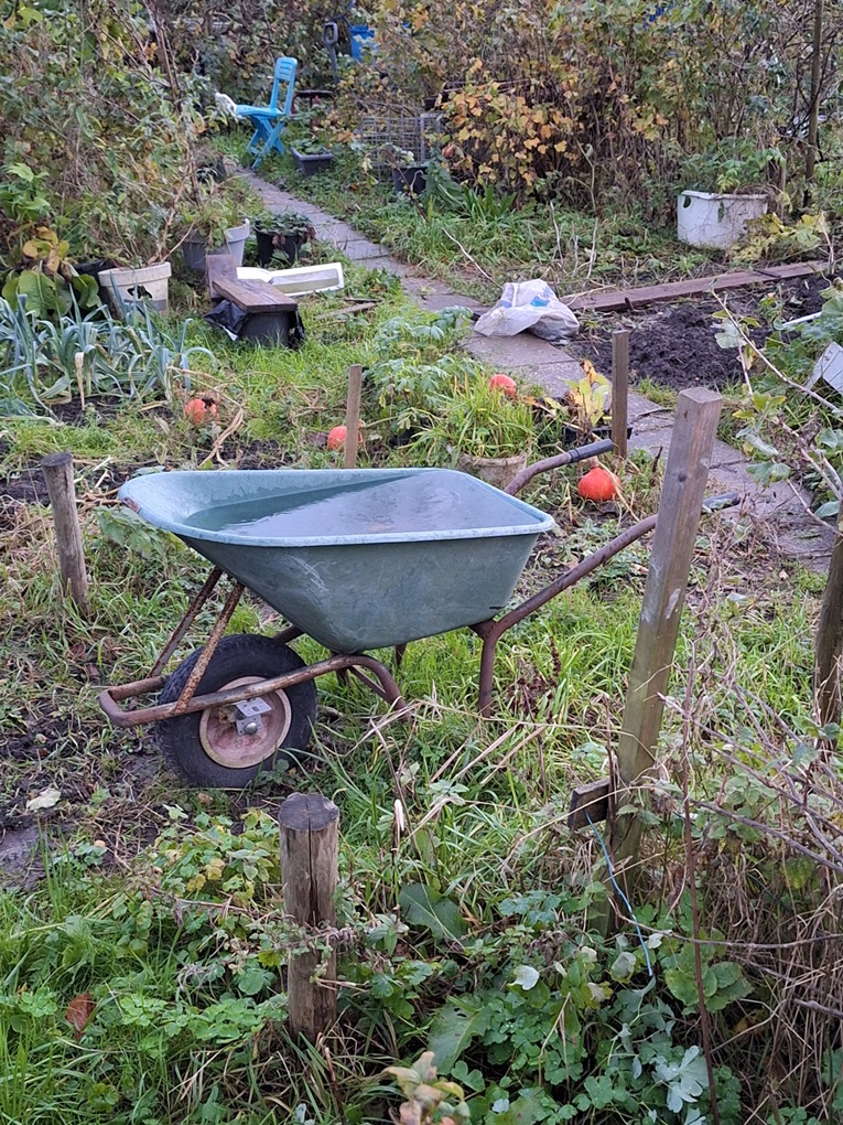 Kruiwagen in de regen november 2023